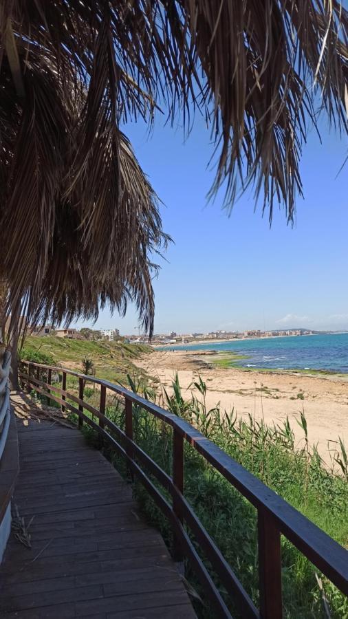 Apartment Only 250M From The Beach Los Locos Torrevieja Bagian luar foto
