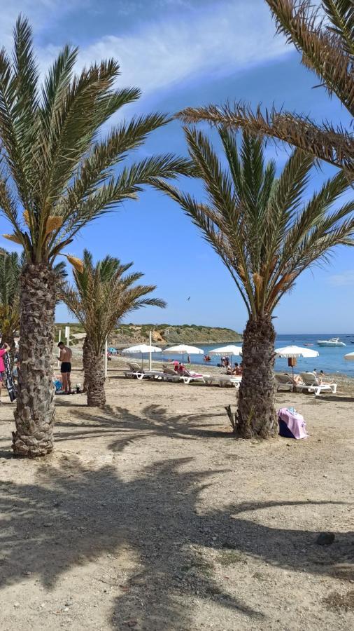 Apartment Only 250M From The Beach Los Locos Torrevieja Bagian luar foto